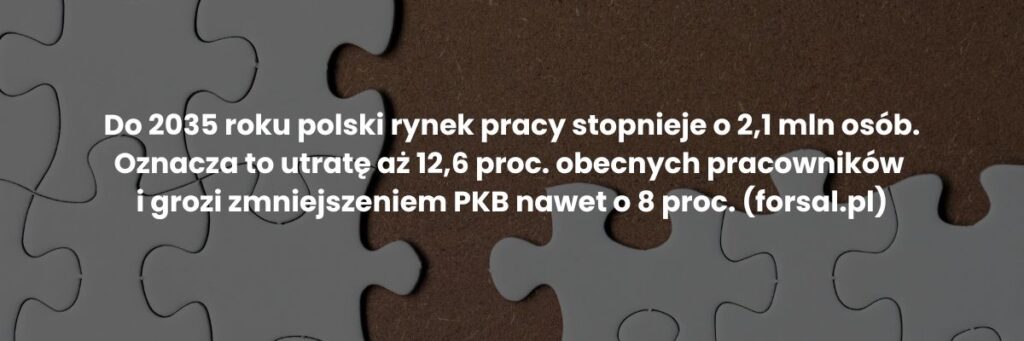 Starzejące się społeczeństwo a rynek pracy: spadek zatrudnienia o 2,1 mln do 2035 roku (forsal.pl)