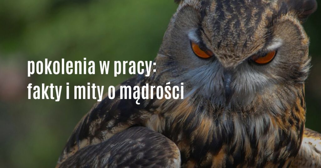 sowa mądrość w pokoleniach fakty i mity